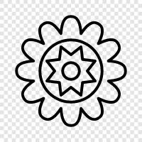 Bloom, Blooms, Gardening, Plant icon svg