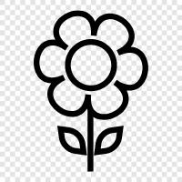 Bloom, Garden, Plant, Gardener icon svg