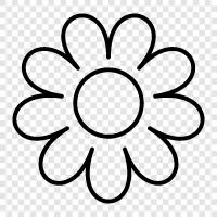 Bloom, Bloomer, Blossom, Bouquet icon svg