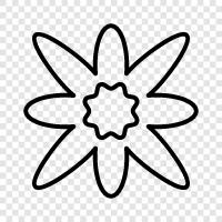 Blüte, Blumen, Garten, Gärtner symbol