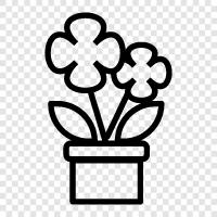 bloom, blossom, petal, stem icon svg