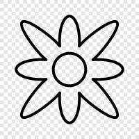 Bloom, Bloomers, Plant, Planting icon svg