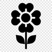 Bloom, Bloomers, Blooming, Floral ikon svg