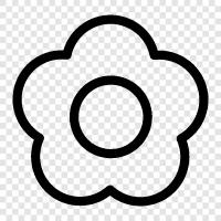 Bloom, Bloomer, Bloomerler, Floral ikon svg