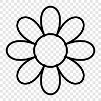 Bloom, Bloomers, Blooming, Bloomtime ikon svg