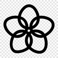 Bloom, Bloomers, Bloom Festival, Bloom Hunt icon svg