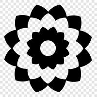 Bloom, Bloomers, Bloomersuits, Bloomersuitsforwomen icon svg