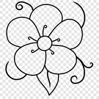 Bloom, Bloomer, Bouquet, Bouquet of Flowers icon svg