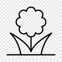 bloom, blossom, petal, stem icon svg