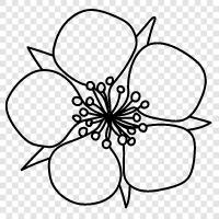 bloom, blossom, fragrance, petals icon svg