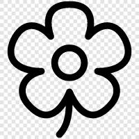 Bloom, Bloomer, Bloom Time, Bloom Season icon svg