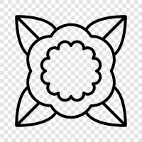 Bloom, Bloomer, Blooming, Blooms icon svg