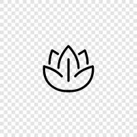 Bloom, Bloomers, Bloomer, Flowery icon svg