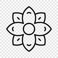 Bloom, Bloomers, Blooming, Blooming Flowers icon svg