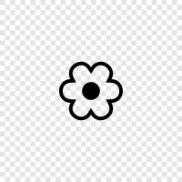 Bloom, Colors, Fragrance, Gardening icon svg