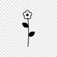Bloom, Plants, Container, Garden icon svg