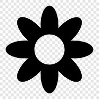 Bloom, Bloomer, Bouquet, Bloomers icon svg