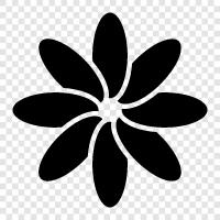 Bloom, Bloomers, Bloomersuits, Floral icon svg