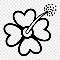 bloom, blossom, fragrance, petals icon svg