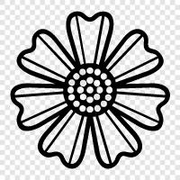 Bloom, Bloomers, Blooming, Blooming Flowers icon svg