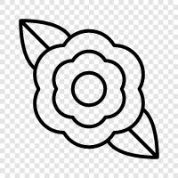 Bloom, Plant, Bahçe, Fragrance ikon svg