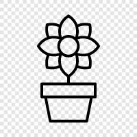 bloom, grow, blossom, petal icon svg