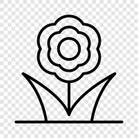 Bloom, Bud, Flower icon svg