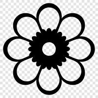 Bloom, Blooms, Plant, Gardening icon svg