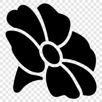 Bloom, Blooms, Floral, Bouquet icon svg