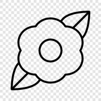 Bloom, Bloomers, Bloomers Clothing, Bloomers Clothing Store icon svg