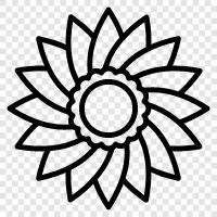 Bloom, Garden, Gardener, Bloomer icon svg