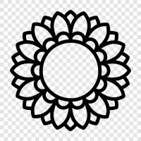 Bloom, Garden, Bloomers, Gardening icon svg