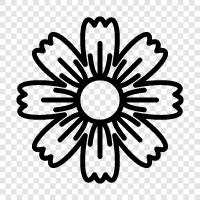 Bloom, Bloomers, Floral, Flower icon svg