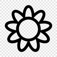 Bloom, Bloomers, Bouquet, Festival icon svg