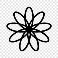 Bloom, Bloomers, Bouquet, Bouquet of Flowers icon svg