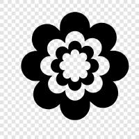 Bloom, Bloomer, Bloomy, Bloomy Girl symbol