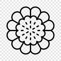 Bloom, Bloomers, Plants, Garden icon svg