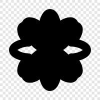 Bloom, Bloomer, Florist, Bloomers icon svg