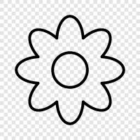 Bloom, Bloom Time, Blooming, Blooming Time icon svg