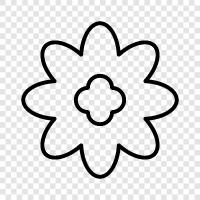 Bloom, Bloomers, Bloomersuit, Floral icon svg