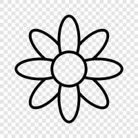 Bloom, Blooms, Bloomer, Bloomers icon svg