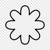 Bloom, Bloomers, Buds, Colors icon svg