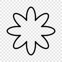 Bloom, Bloomers, Buds, Colors icon svg