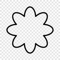 Bloom, Bloomers, Bud, Flower icon svg