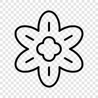 Bloom, Bloomer, Blooming, Bouquet icon svg