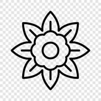 Bloom, Bloomers, Blooming, Blooms icon svg