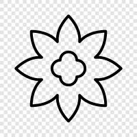 bloom, blossom, petal, stem icon svg