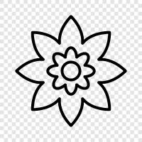 Bloom, Bloomers, Garden, Gardener icon svg