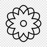 Bloom, Bloomers, Bloomy, Blooms icon svg