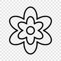 Bloom, Bloomers, Bouquet, Bouquets icon svg